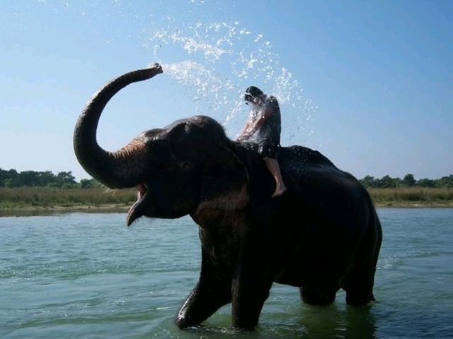 🇳🇵 Chitwan National Park: Into the Wild Heart of Nepal