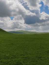 Step into Hohhot: Gateway to Mongolian Heritage