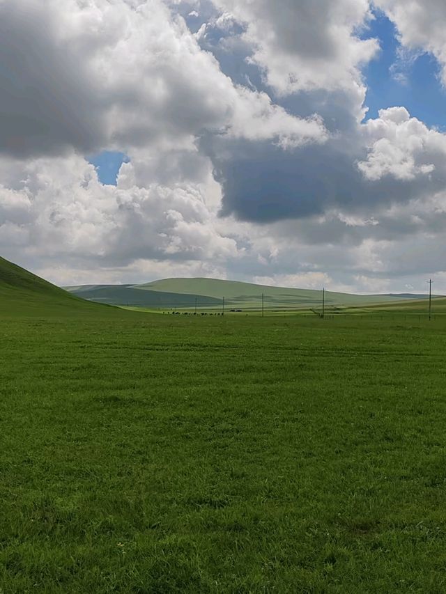 Step into Hohhot: Gateway to Mongolian Heritage