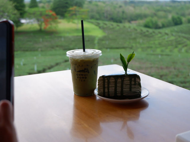 ดื่มชาร้านดัง วิวหลักล้าน“ไร่ชาฉุยฟง”