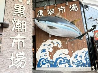 일본 ｜⚓ 시코쿠의 관문, 와카야마항과 바다 풍경**