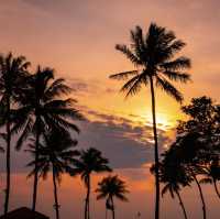 ✨ Discover the Magic of Kota Kinabalu! ✨