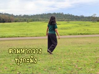Looking for a deer in Thung Kamang