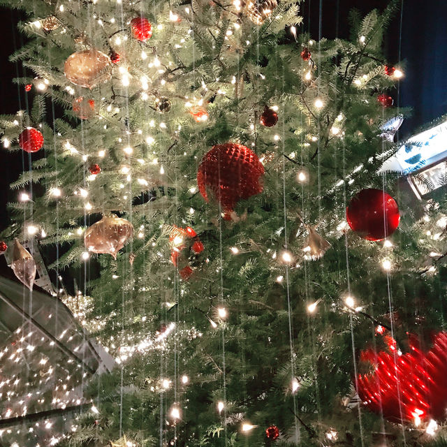 🎄✨ 恵比寿ガーデンプレイス 2024クリスマス振り返り&2025予測 ✨🎄 🎄✨ 恵比寿ガーデンプレイス 2024クリスマス振り返り&2025予測 ✨🎄
