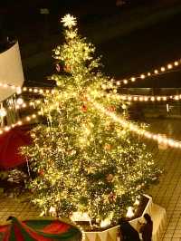 ✨横浜駅周辺で楽しむ!2025-2026 クリスマスめぐり🎄✨
