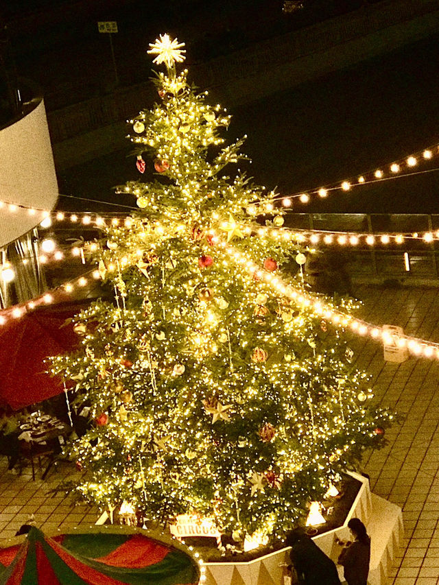 ✨横浜駅周辺で楽しむ!2025-2026 クリスマスめぐり🎄✨ ✨横浜駅周辺で楽しむ!2025-2026 クリスマスめぐり🎄✨