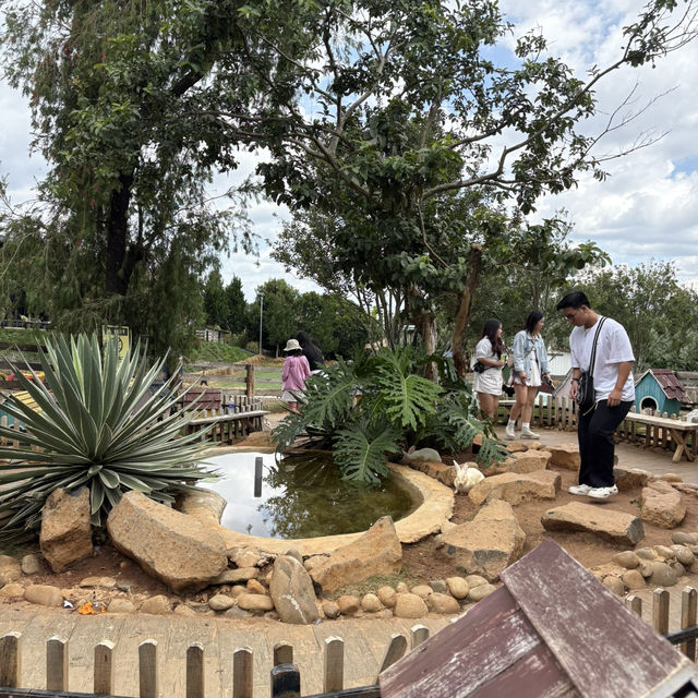 Exploring Mongo Land ĐlDa Lat – Fun, Photos, and a Touch of Mongolia