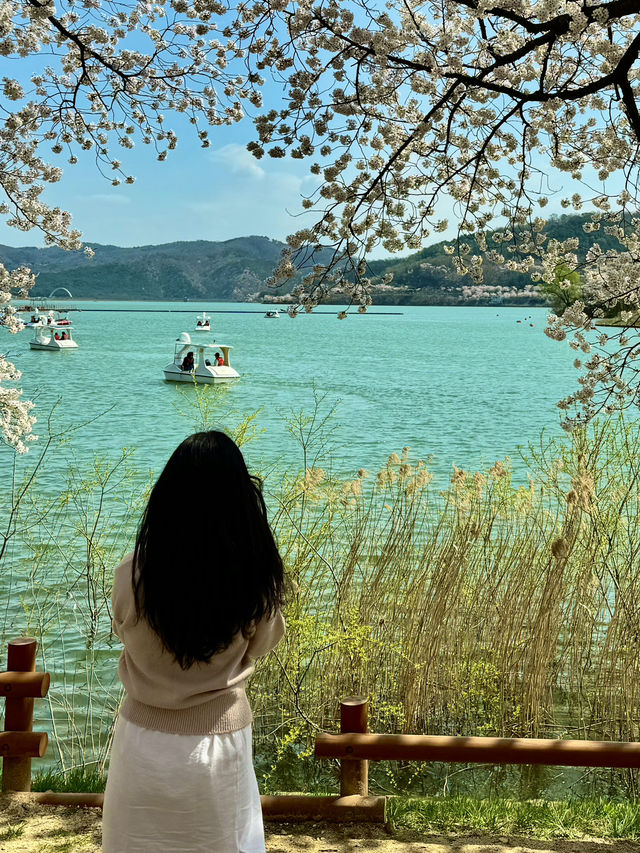 경주 보문호, 호수 위 힐링 산책 💛🌊