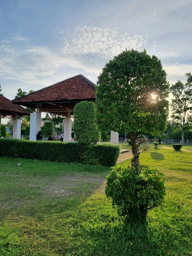 สนามแมวจารูนอก (สวนมิ่งเมือง) จ.ยะลา