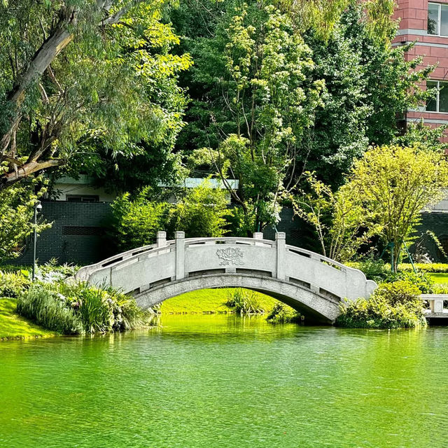 墨池公園～打卡必去靚景點🌸