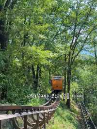 자연과 음악과 영화가 있는 아름다운 제천 여행 코스🌿
