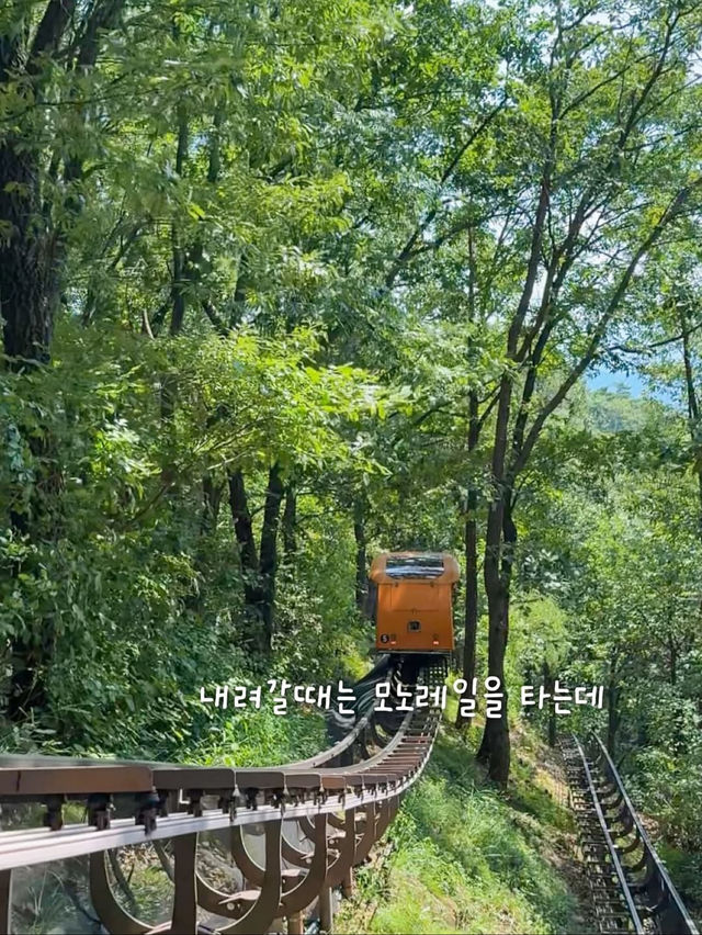 자연과 음악과 영화가 있는 아름다운 제천 여행 코스🌿
