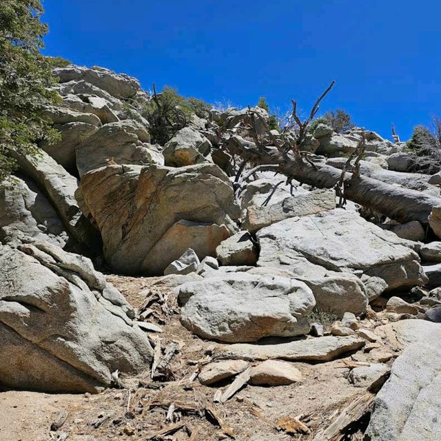 Mount San Jacinto State Park (Idyllwild)