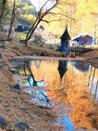 紅葉のムーミンバレーパーク、トーベ・ヤンソンあけぼの子どもの森公園と角川武蔵野ミュージアムを楽しむ一泊二日