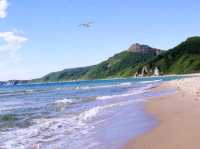 бухта Шепалова