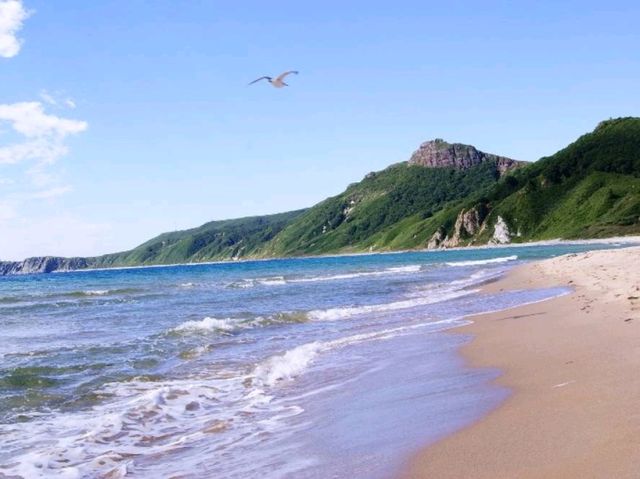 бухта Шепалова бухта Шепалова