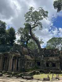 Angkor Wat Amazing! 