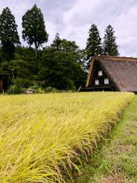 Skip the Filters, Try the Onigiri: Shirakawa-go in September