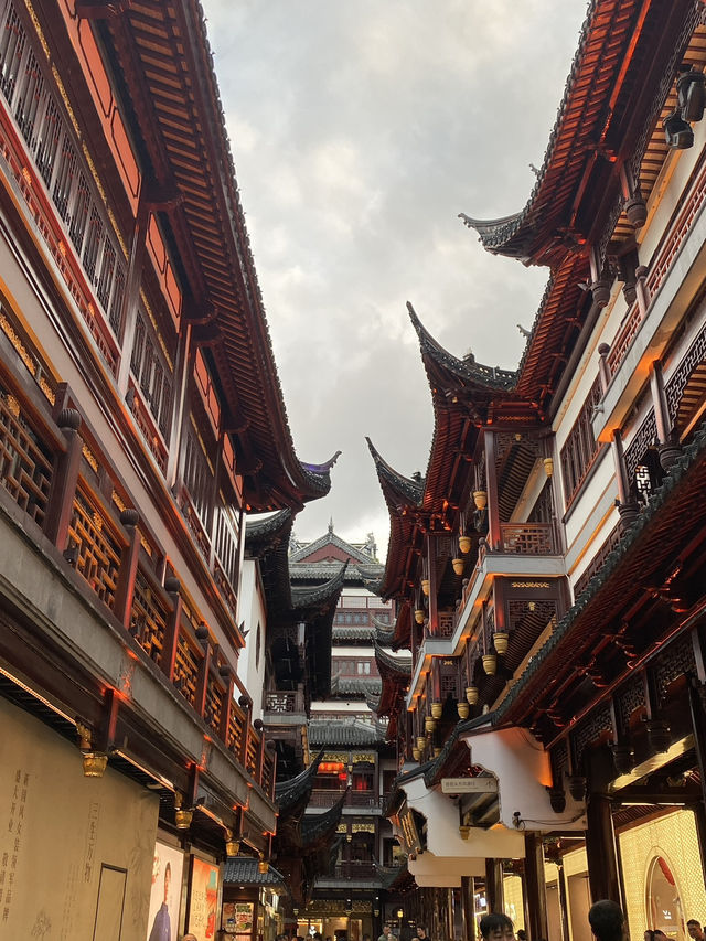 ROCKBUND | 1000 TREES | YUYUAN GARDEN