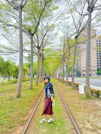 นั่งรถไฟผ่านอุโมงค์ต้นไม้ที่เกาสง