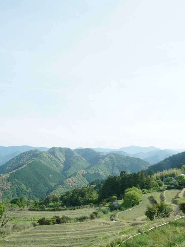 🌄 熊野古道・高原展望所 🌄 熊野古道・高原展望所