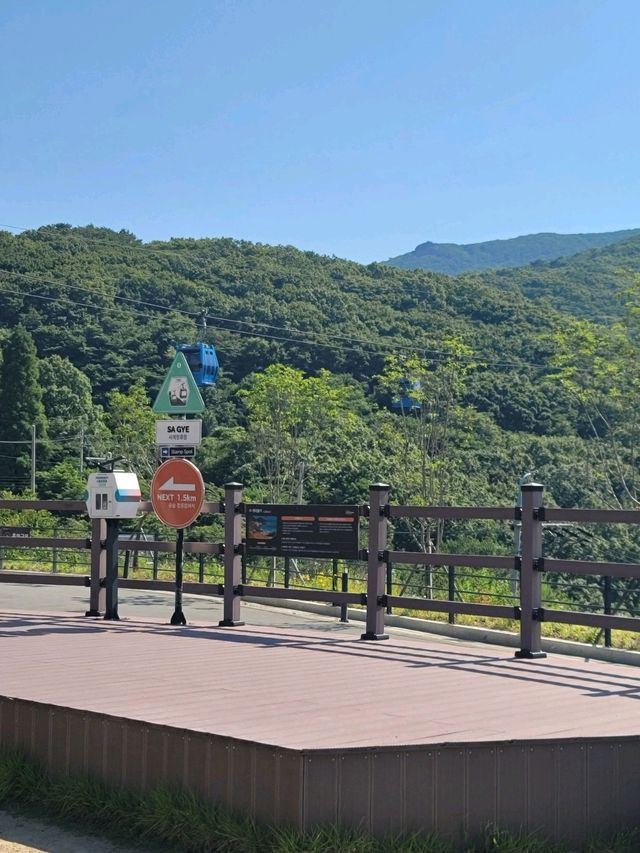 거제도 절경을 한눈에 담는 파노라마 케이블카💙