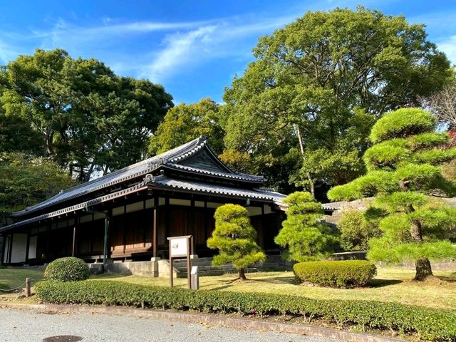 A Glimpse into the Heart of Tokyo: The Imperial Palace