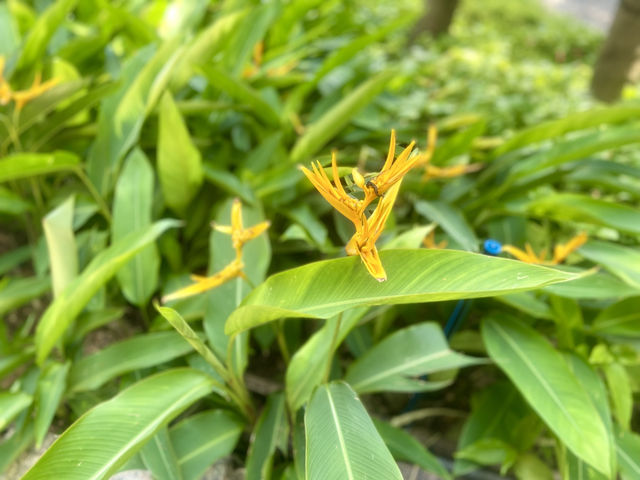 螺旋石山打卡點✨🔩🪨探澳門新體驗❤️ 螺旋石山打卡點✨🔩🪨探澳門新體驗❤️