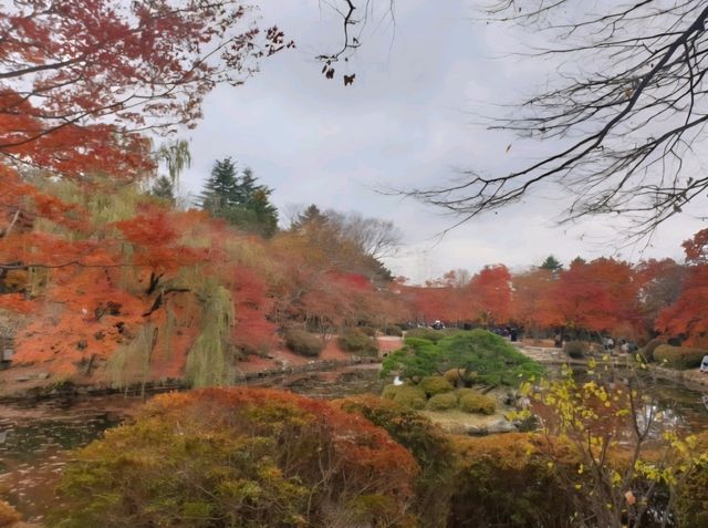 가을 단풍이 예쁜 경주 불국사 여행 🍁