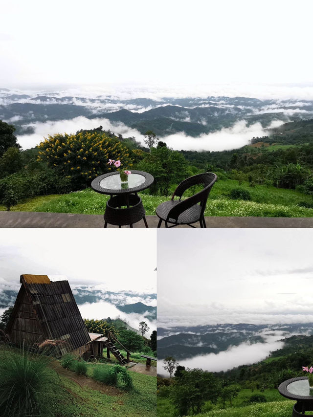 ที่พักบนดอยแม่มอญเชียงราย  ที่พักบนดอยแม่มอญเชียงราย