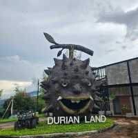 🌟Durian Land เที่ยวชมสวนทุเรียนที่จันทบุรี⭐️