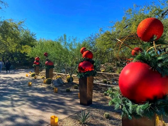 🌵 “Desert Botanical Garden – Where the Desert Blooms with Life!”