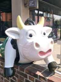 親子同遊的雲林療癒景點🐄#【千巧谷牛樂園牧場】-雲林縣崙背鄉