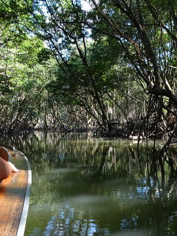 1StopBorneo Wildlife - Malaysia 