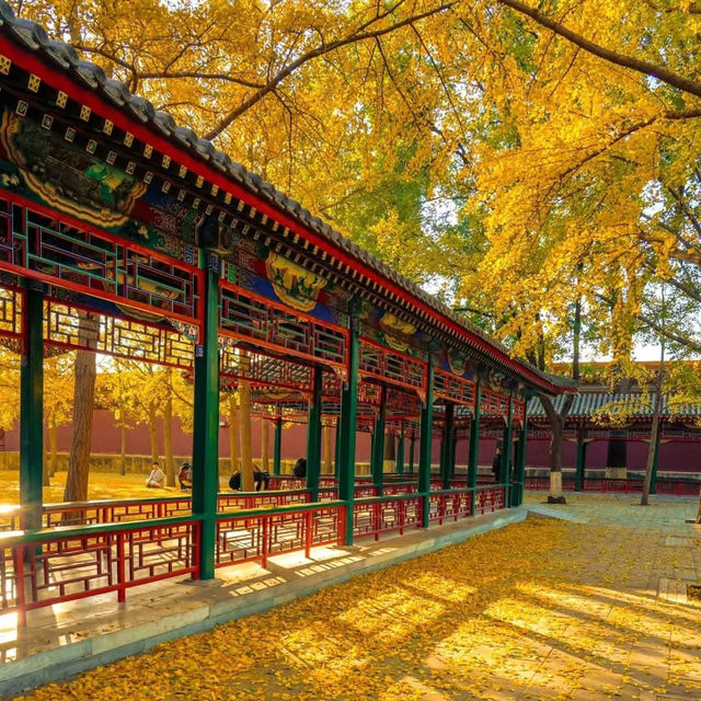 Zhong shan park 中山公园   ปักกิ่ง Zhong shan park 中山公园   ปักกิ่ง
