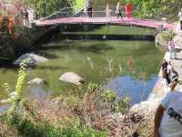 Arboretum Sofiyivka