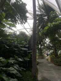 MANILA OCEAN PARK & BIODOME BLISS