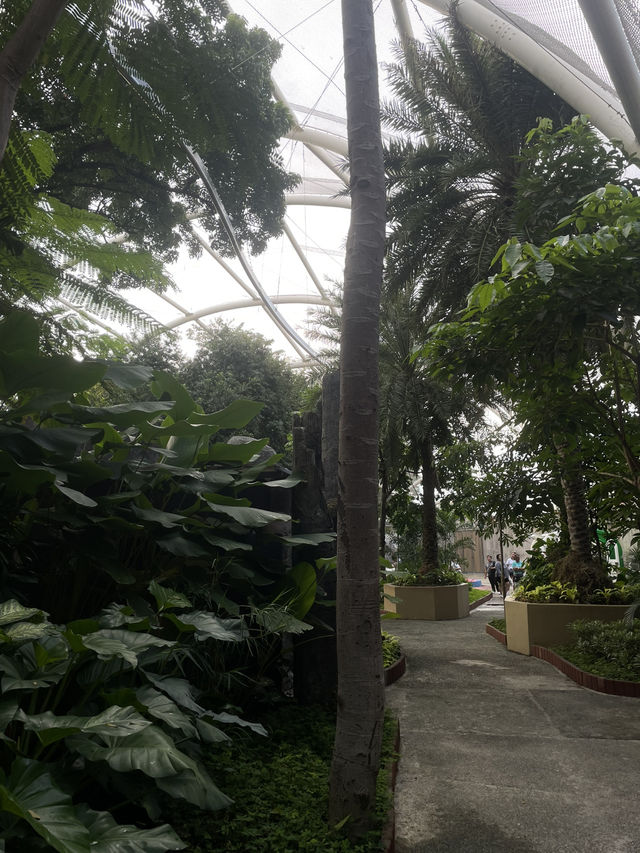 MANILA OCEAN PARK & BIODOME BLISS