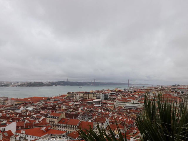 Timeless Charm and Vibrant Energy in Lisboa