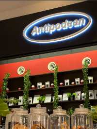 Kiwi Cafe Culture with Global Reach at Antipodean