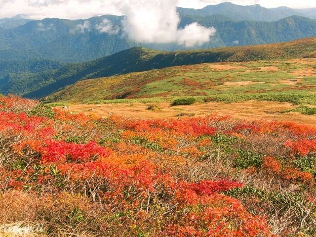 【山形県】出羽三山の霊峰！東北屈指の紅葉名所「月山」