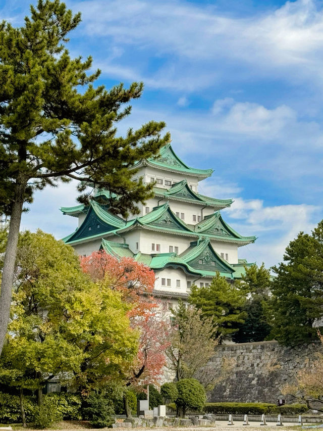 Nagoya Castle 🇯🇵 ปราสาทนาโกย่า