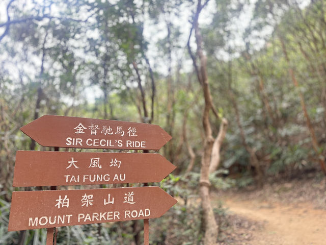 🏞️ 太古後花園： 柏架山道自然徑的綠色旅程