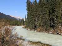 Kicking Horse River