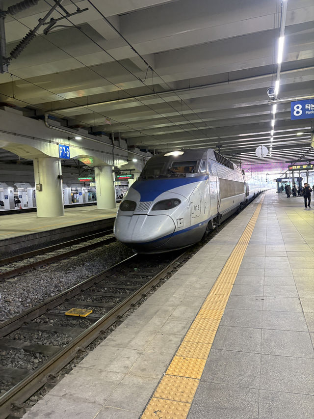 ARMYによる釜山→大邱へ日帰り旅🧳