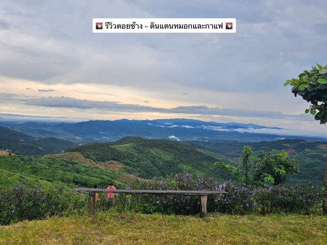🌄 รีวิวดอยช้าง – ดินแดนหมอกและกาแฟ 🌄