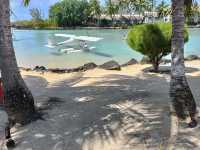 Island Wings Mauritius