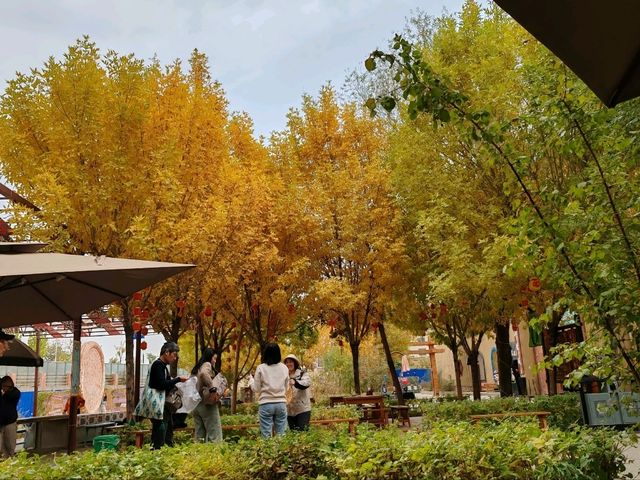 Kuche Grand Naan City: A Non-Genuine Cultural Journey on the Tip of the Tongue