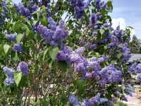 Denver Botanic Gardens