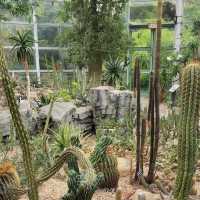 Brooklyn Botanic Garden